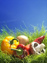 Sweet peppers and mushrooms in green grass under blue sky