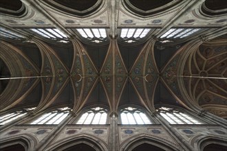 Ceiling vaults