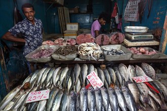 Fish for sale in Nuwara Eliya market hall