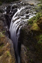 Waterfall in Englishman River Falls Provincial Park