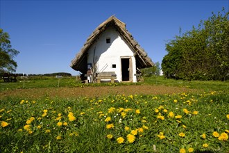 Celtic house