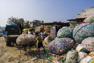 People collecting empty plastic bottles