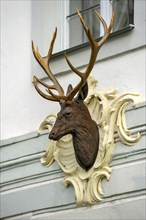 Sculpture of deer head with antlers