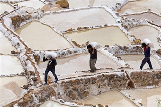 Workers carry salt bags through salt garden