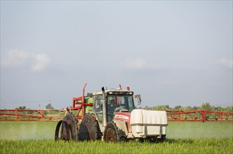 A tractor sprays a fungicide onto the rice fields