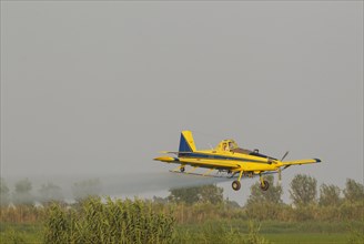 Crop duster plane flying low while spraying an anti mosquito substance onto the rice fields