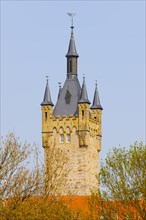 Blue tower of Bad Wimpfen