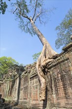 Prasat Preah Khan temple ruins