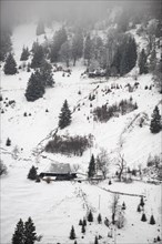 Black Forest Farm in winter