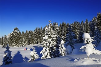 Two hikers walk through snow-covered winter landscape
