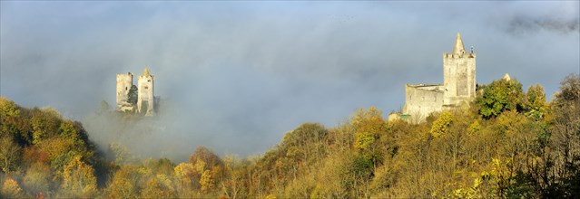 Castle ruins Saaleck and Rudelsburg in the autumn morning mist in the Saaletal valley