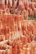 Red eroded limestone columns