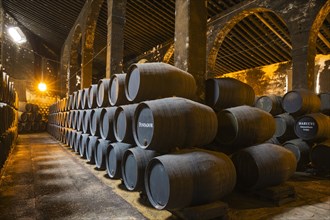 Stacked oak barrels in the wine cellar