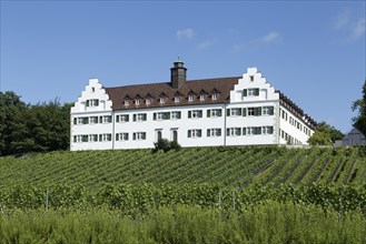 Schloss Hersberg with vineyard