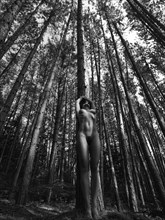 Naked woman standing by tall trees in a pine forest