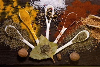 Various dried spices on small spoons