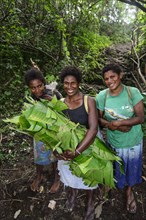 Native women with collected banana leaves