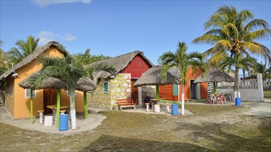 Cabins with palm roof