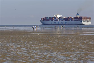 Container ship in the Wadden Sea