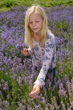 Girl in lavender field