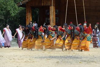 Tribal ritual dance at the Hornbill Festival