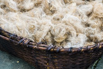 Raw sheep's wool in braided basket