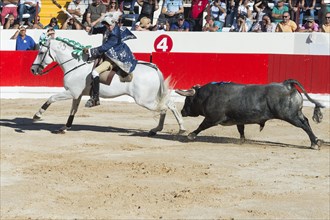 Bullfight in Alcochete