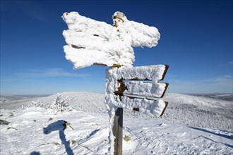 Guidepost covered with snow