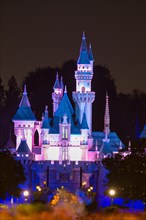 Sleeping Beauty Castle by night