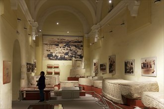 Hal-Tarxien Hall in the Archaeological Museum