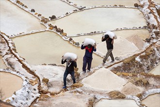 Workers carry salt bags through salt garden