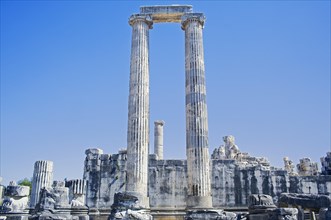 Columns of the Temple of Apollo