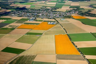 Agricultural land