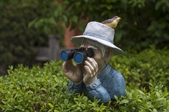 Human figure with bird on hat and binoculars looking over a hedge