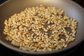 Roasted pine nuts in the pan