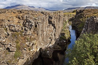 Canyon between drifting North American and Eurasian tectonic plates