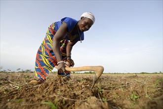 Woman sowing sorghum