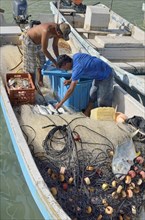 Fishermen sorting their catch in the boat