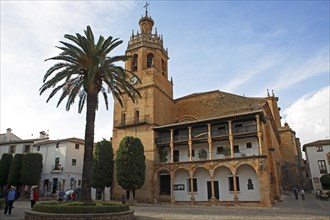 Historical Church of Santa Maria la Mayor