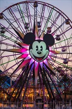Ferris Wheel Mickey's Fun Wheel