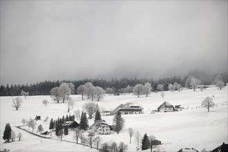 Black Forest houses in winter