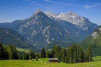 Big ox horn over the alpine pastures