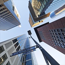 Frog's eye view of skyscrapers in the banking district