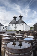 Used bourbon barrels at Ardbeg whiskey distillery