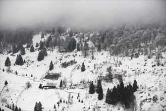 Black Forest Farm in winter