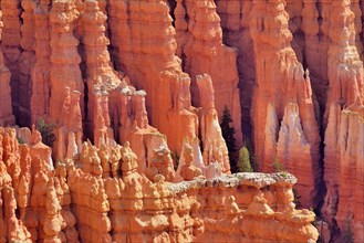 Red eroded limestone columns