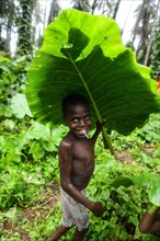 Child with large leaf as umbrella in the village of Rangsuksuk