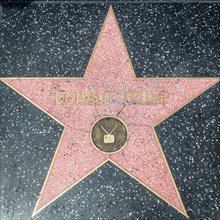 Star Donald Trump on the Walk of Fame