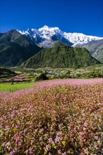 Agricultural landscape with the snowcapped mountain Annapurna 2