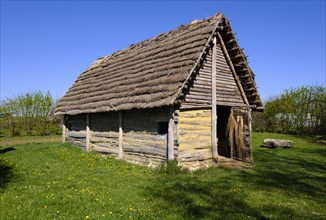 Stone Age House